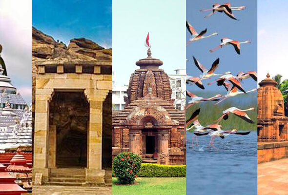 gift-holiday-puri-header